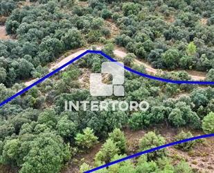 Land for sale in Peralta de Calasanz