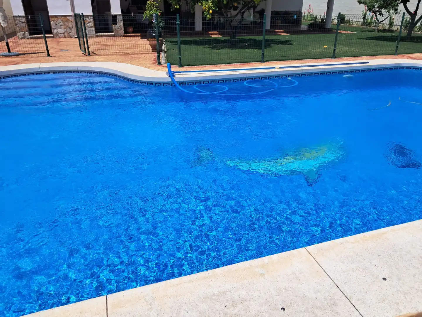 Xalet amb piscina en venda a Arcos de la Frontera, imagen 5