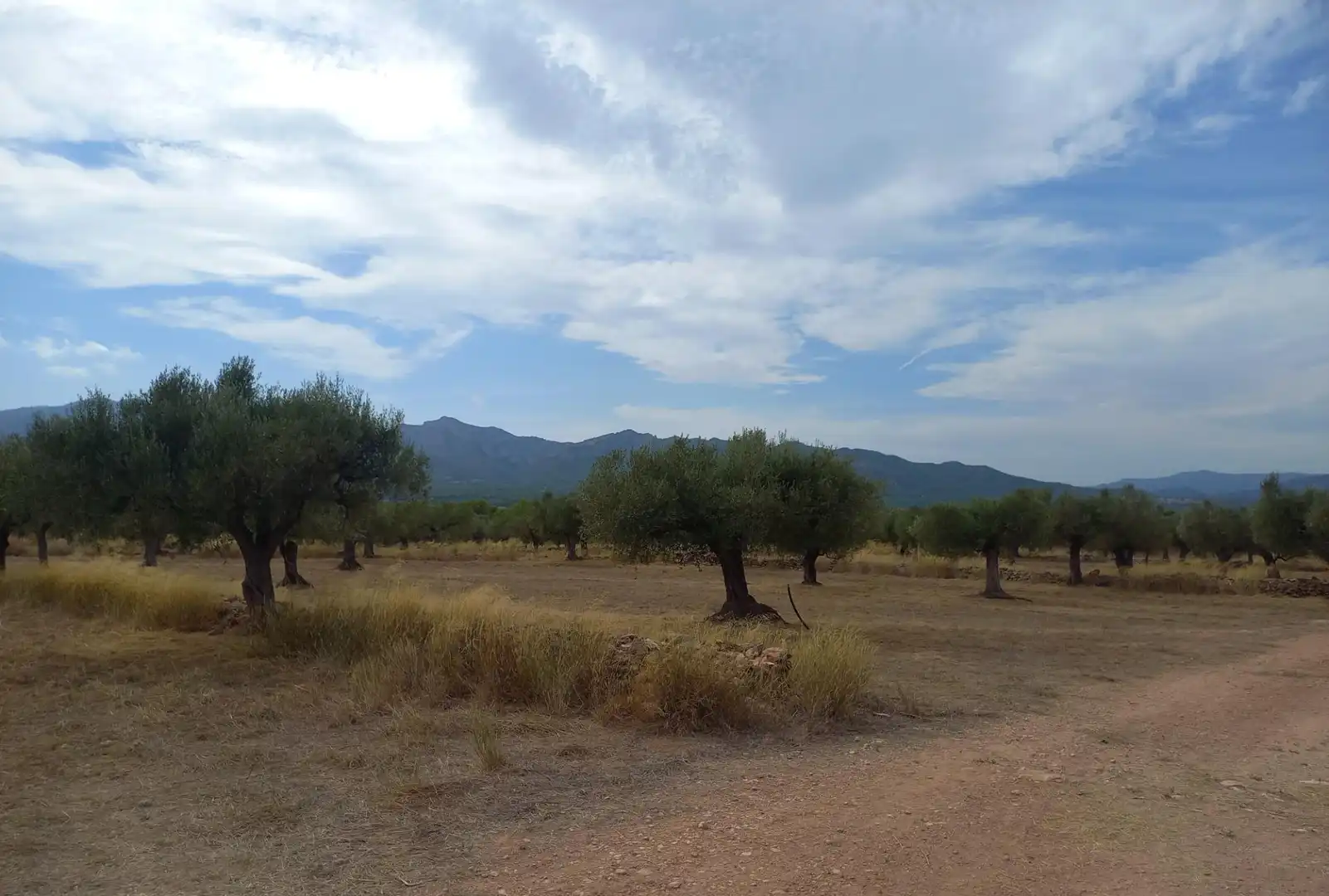 Finca rústica en venta en Tivissa