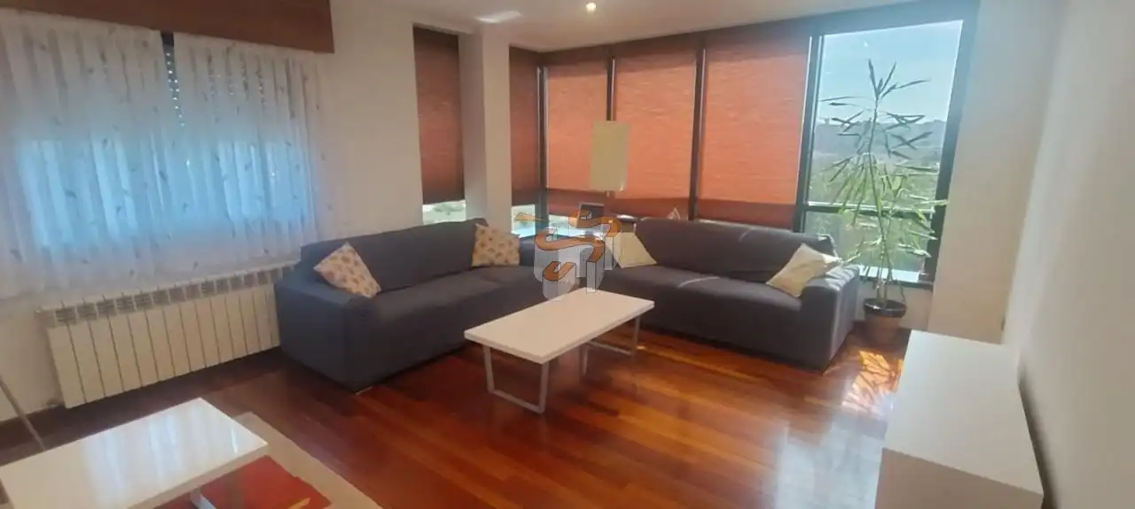 Sala d'estar de Pis de lloguer en Ferrol amb Calefacció