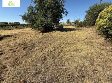 Terreno rustico in vendita a Morales del Vino