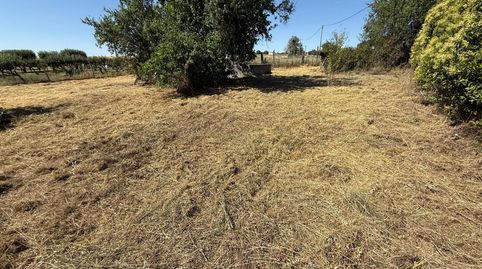 PARCELA RÚSTICA EN VENTA EN MORALES DEL VINO