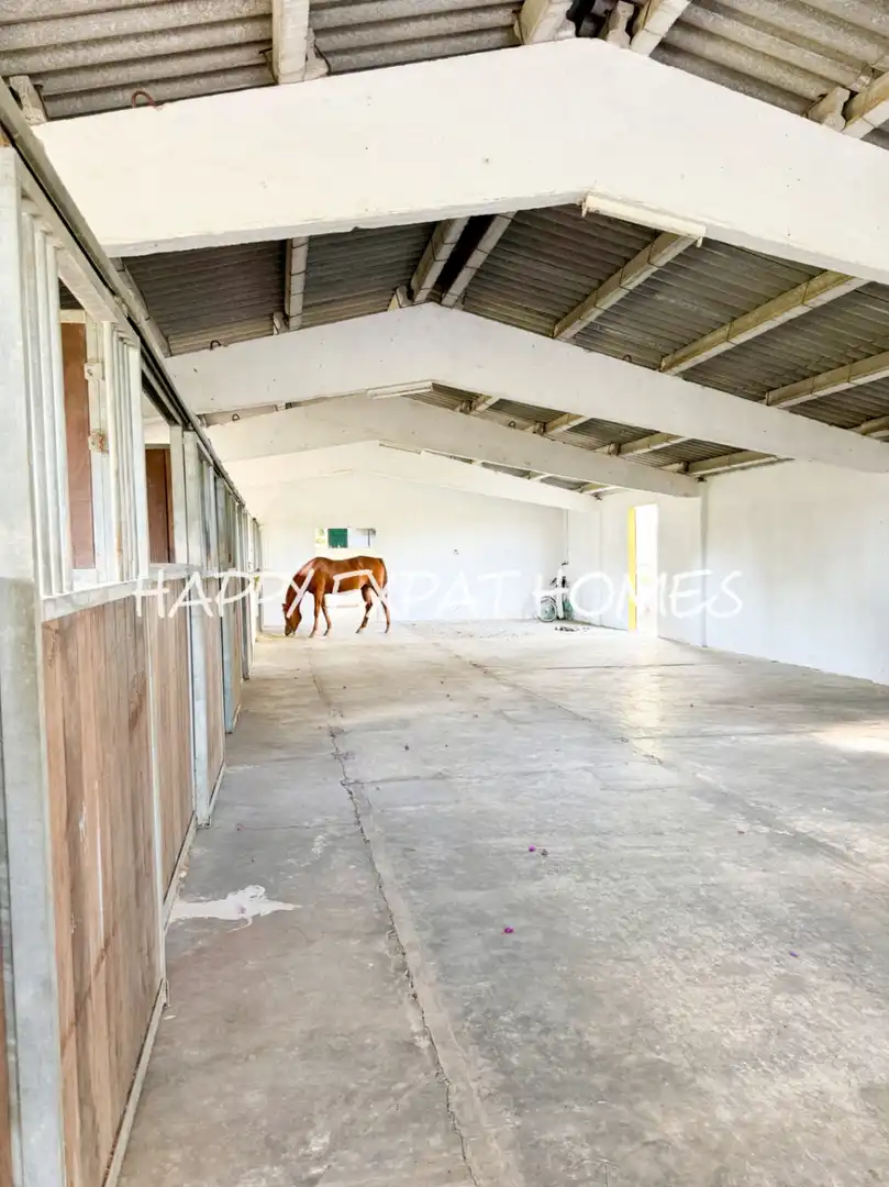 Country house with pool for sale in Castellví de la Marca, imagen 36