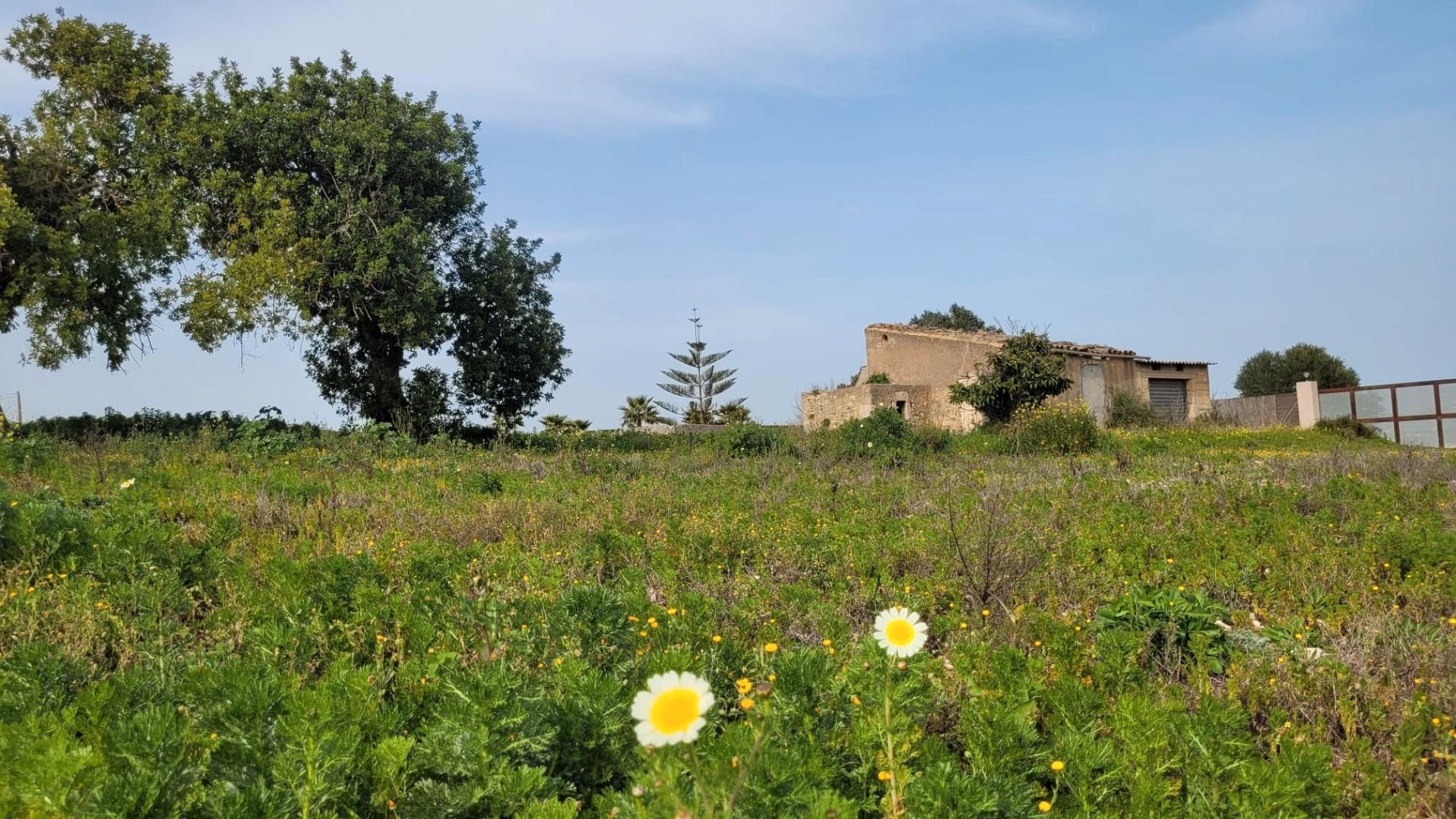 Grundstücke zum verkauf in Manacor