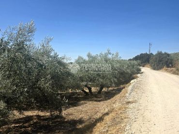 Casa rústica en venda a Montilla