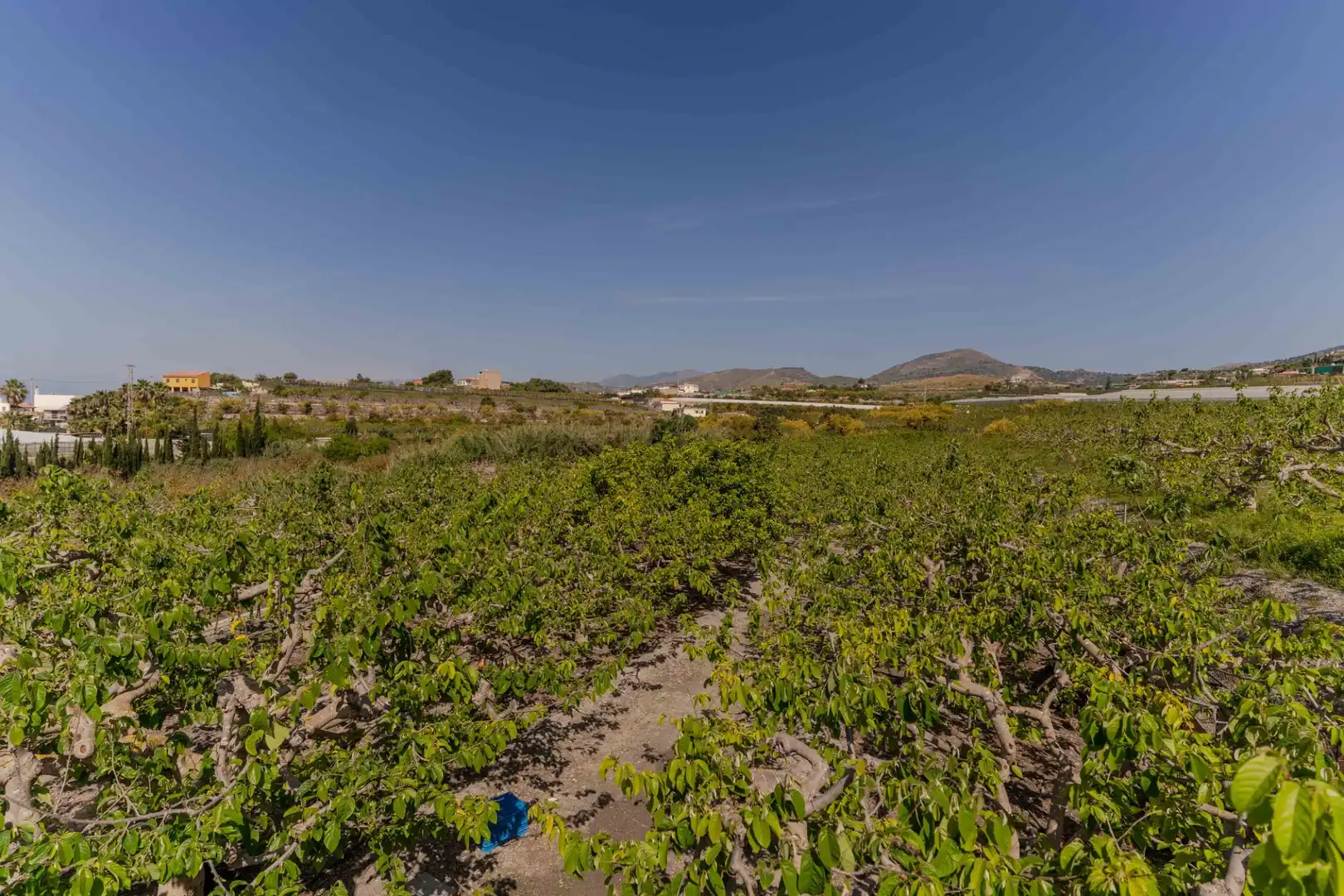 Finca rústica en venta en Motril con Calefacción, Jardín privado y Terraza