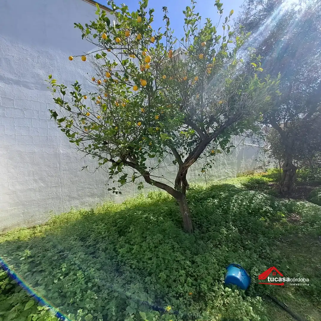 Houses for sale in Córdoba  with Swimming Pool