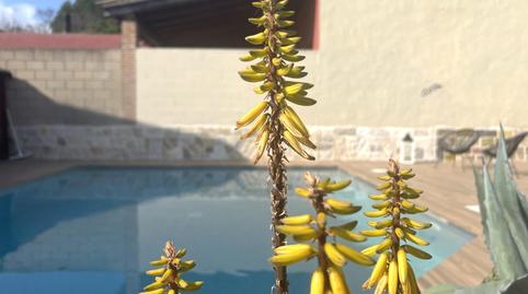 Foto 4 de Casa o xalet en venda a L'Armentera, Girona