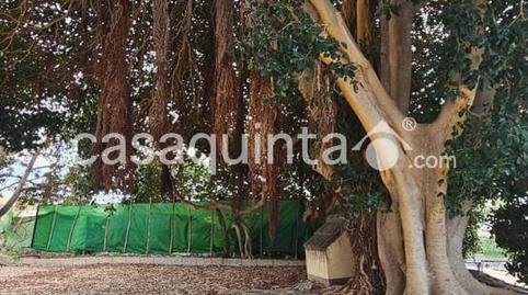 Foto 5 de Casa o chalet en venta en Partida Campillos, Crevillent, Alicante