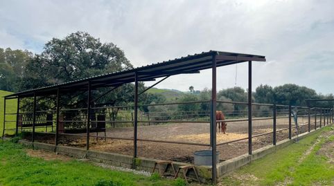 Foto 2 de Finca rústica en venta en Jimena de la Frontera, Cádiz