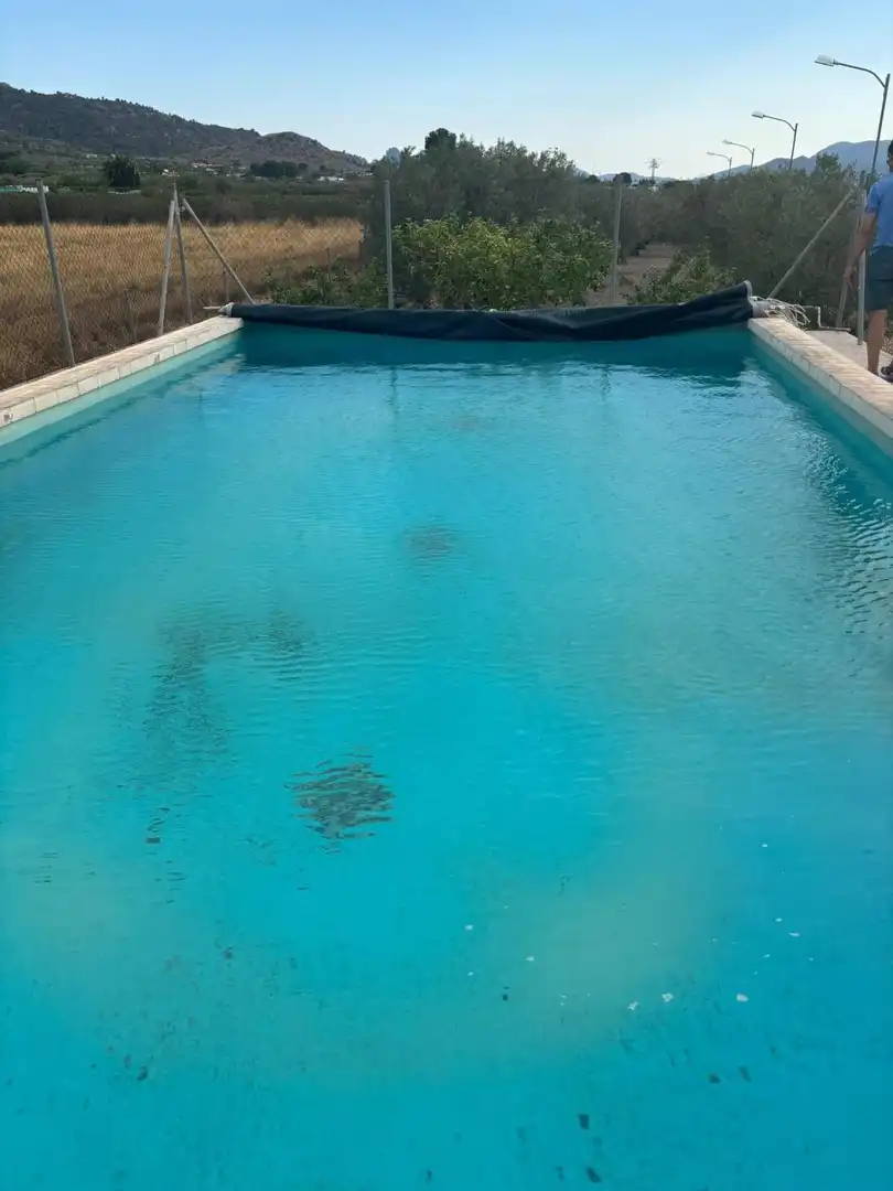 Piscina de Finca rústica en venta en Villena con Terraza y Piscina