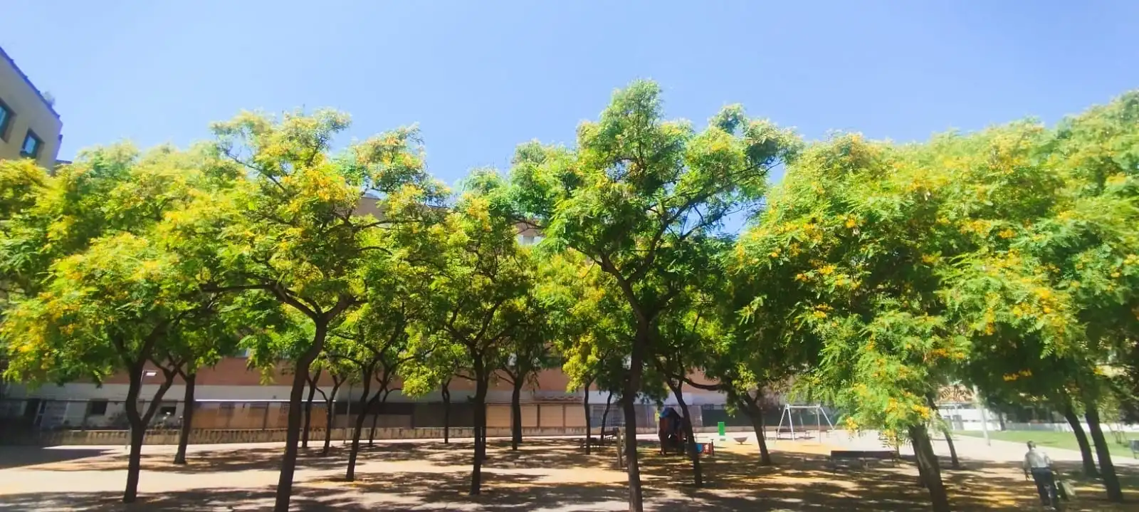 Vista exterior de Dúplex en venta en Barcelona con Aire acondicionado, Parquet y Terraza