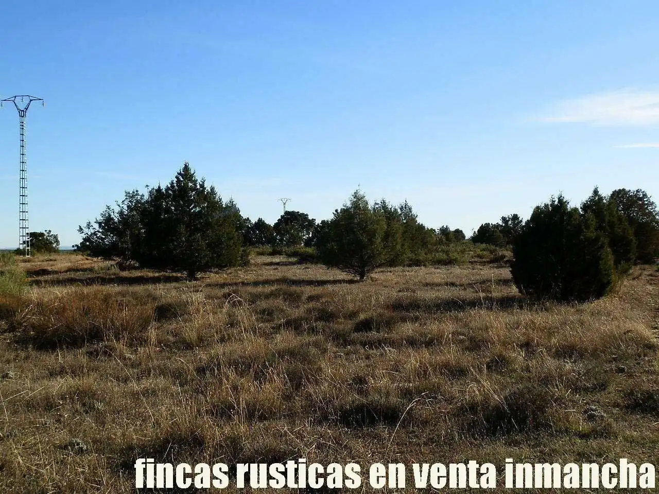 Lands and plots for sale in Ossa de Montiel, imagen 27