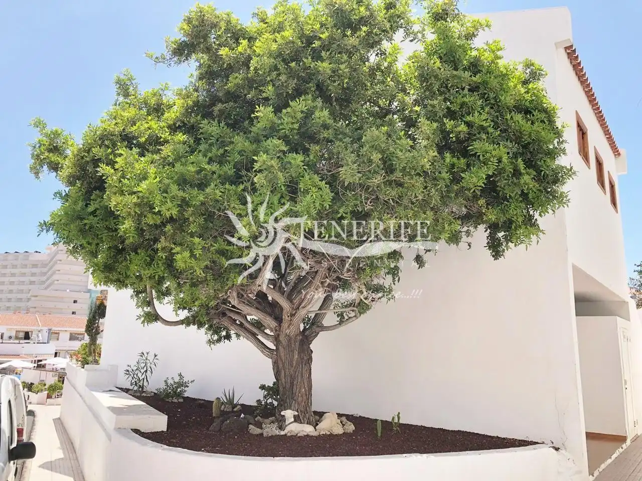Garten von Wohnung zum Verkauf in Adeje mit Terrasse und Möbliert