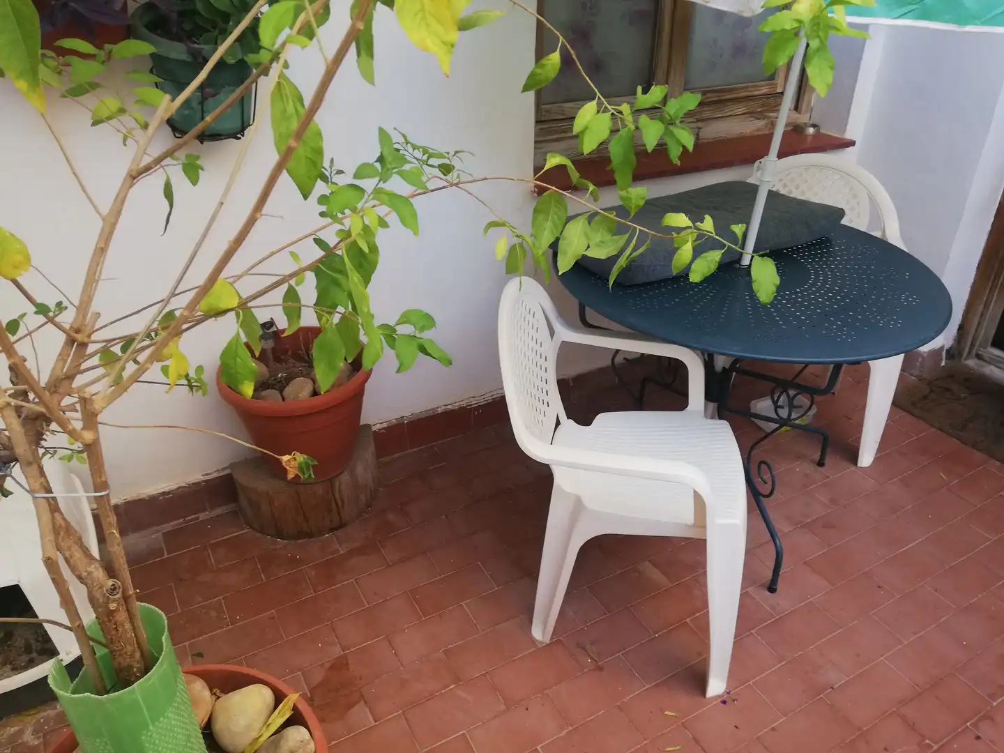 Terraza de Planta baja en venta en Almansa con Calefacción y Trastero