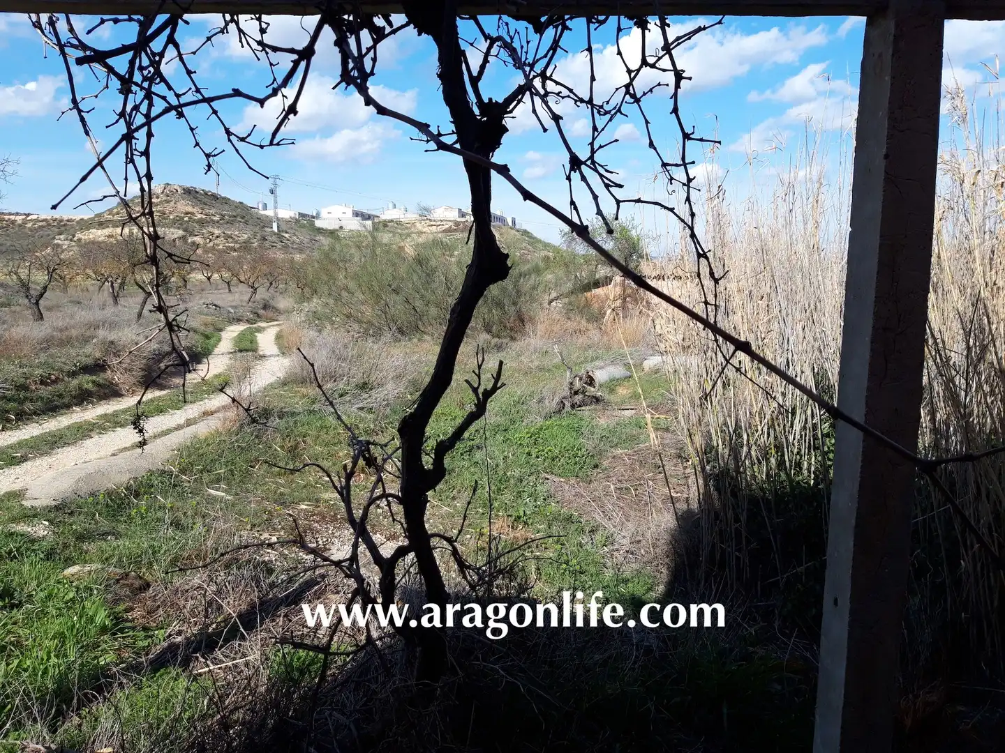 Casa o chalet en venta en Fabara