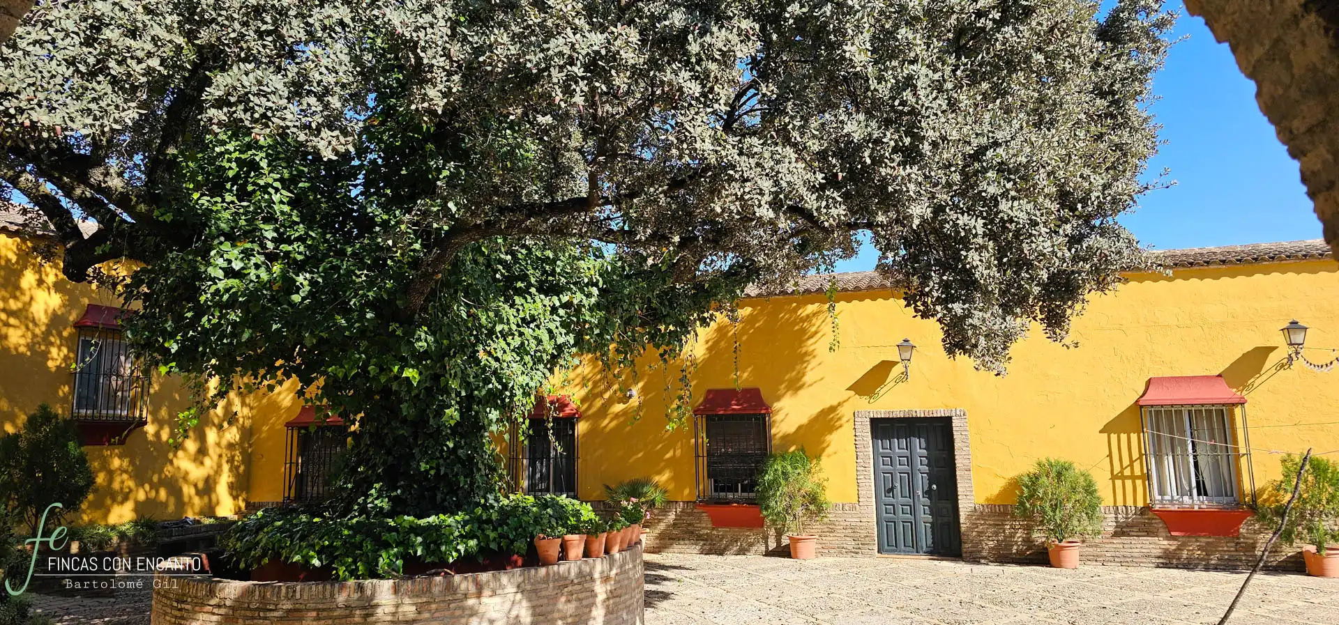 Vista exterior de Finca rústica en venda en Morón de la Frontera amb Jardí privat, Terrassa i Piscina