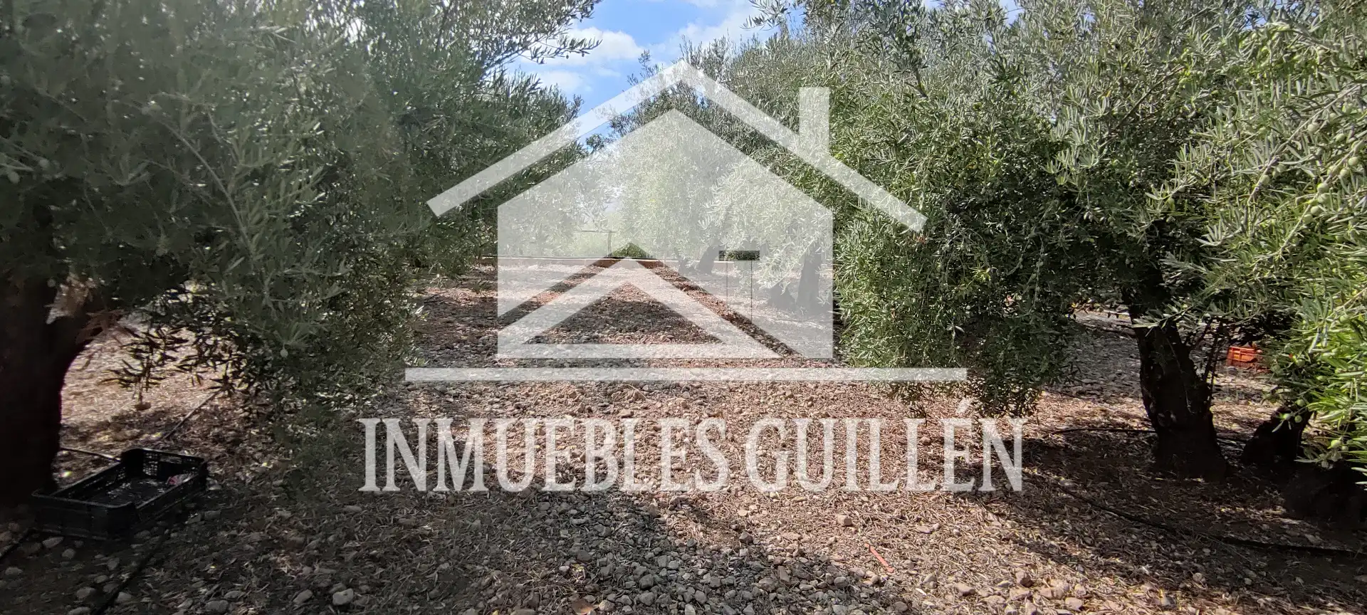 Casa o xalet en venda en Berja amb Aire condicionat, Jardí privat i Terrassa