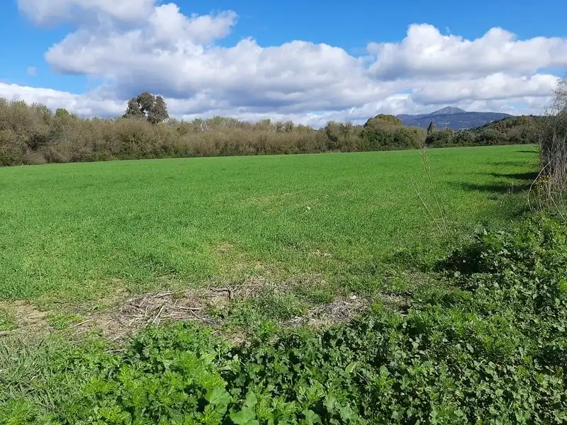 Terreno rustico in vendita a Jimena de la Frontera
