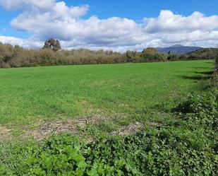 Land for sale in Jimena de la Frontera