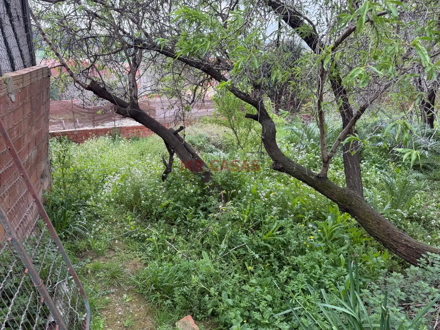 Residential land for sale in Carrer de Lleó, imagen 12