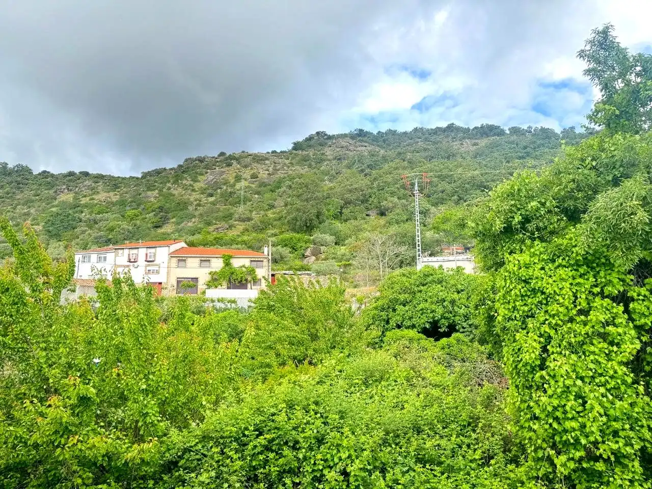 Exterior view of Houses for sale in El Real de San Vicente