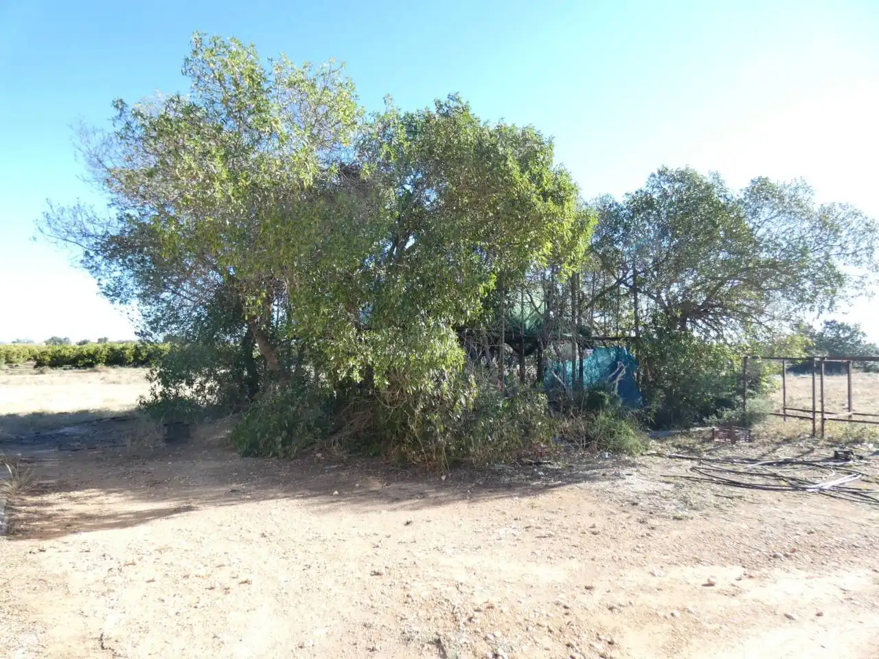 Rural land for sale in Poligono 3 PARTIDA EL PUIG, imagen 5