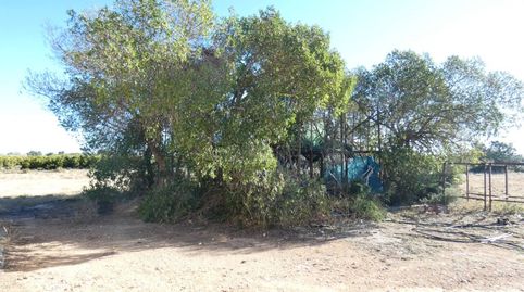 FINCA RUSTICA CON ALMACEN, imagen 5
