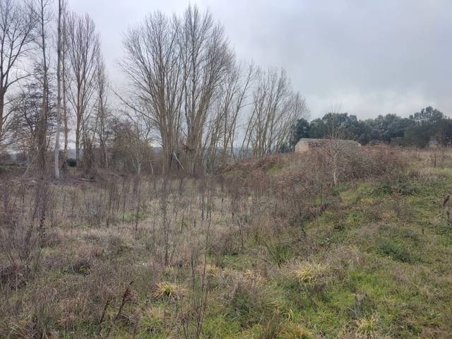 Terreno en Venta en Calle Felipe Abad León, 53 en Santa Coloma