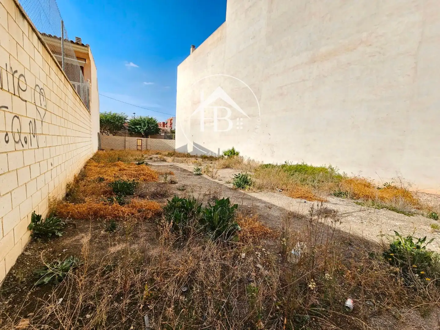 Terreno rustico in vendita a Centro, imagen 11
