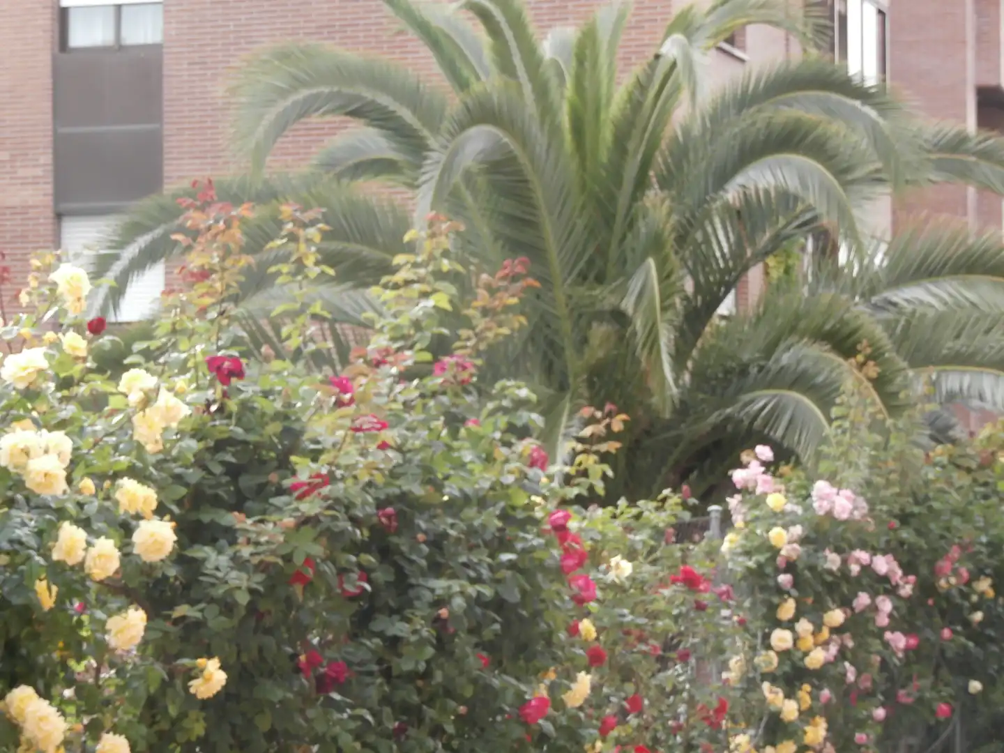 Jardín de Piso en venta en Pozuelo de Alarcón con Aire acondicionado, Calefacción y Parquet