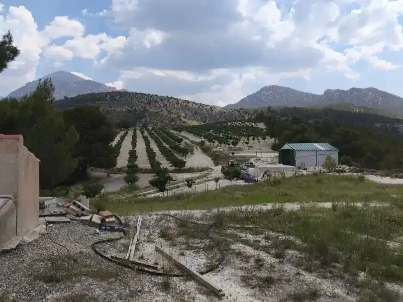 Casa o xalet en venda en Huéscar amb Jardí privat, Piscina i Moblat