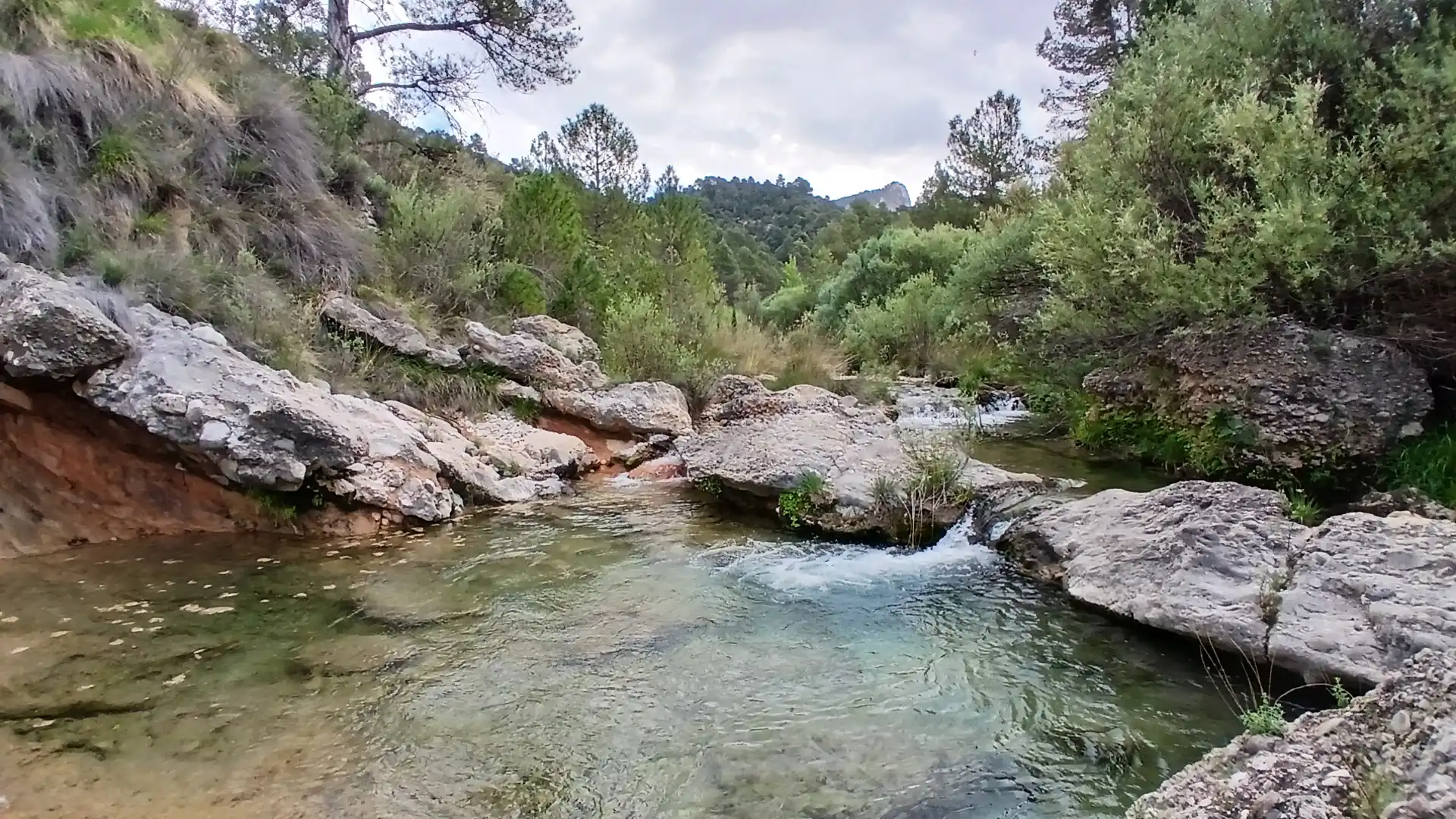 Swimming pool of Land for sale in Beceite