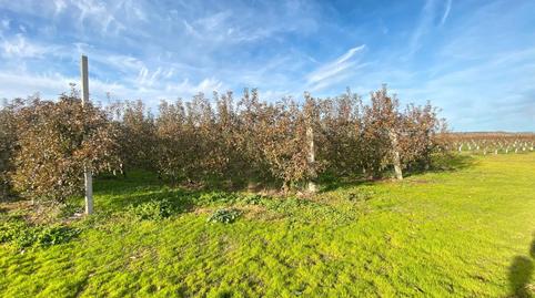 Foto 5 de Terreny en venda a N/a, Alagón del Río, Cáceres