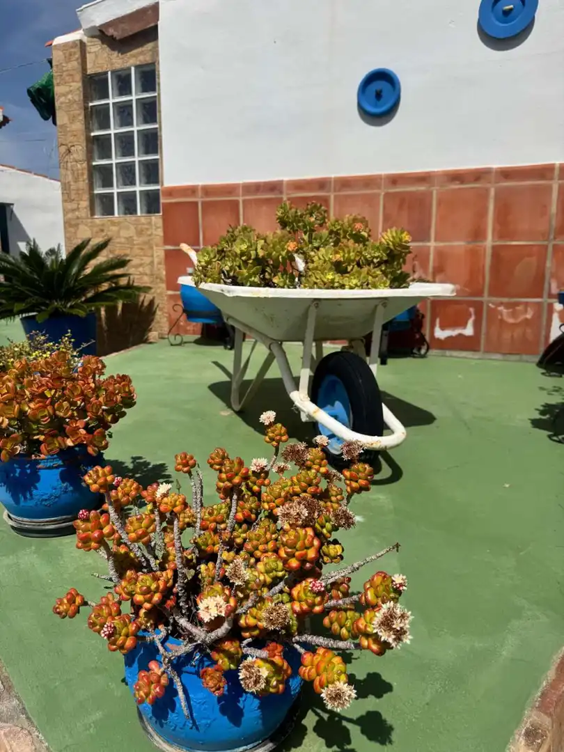 Casa rústica con piscina en venta en Lagos, imagen 3
