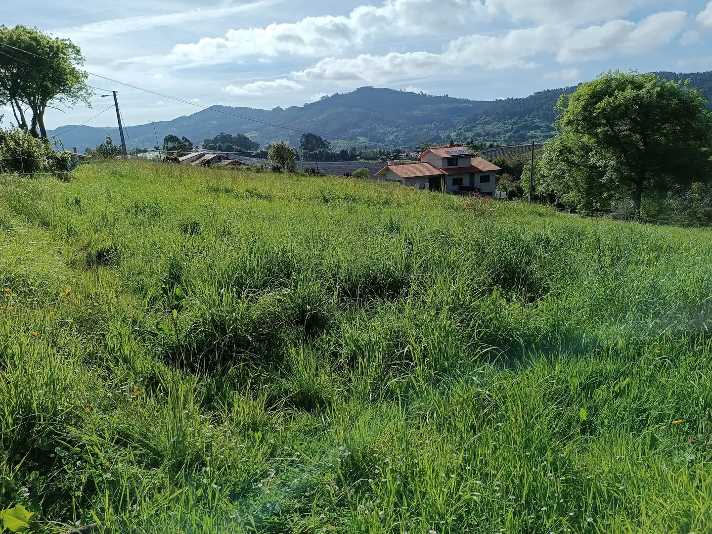 Terreny residencial en venda a Selorio - Tornón