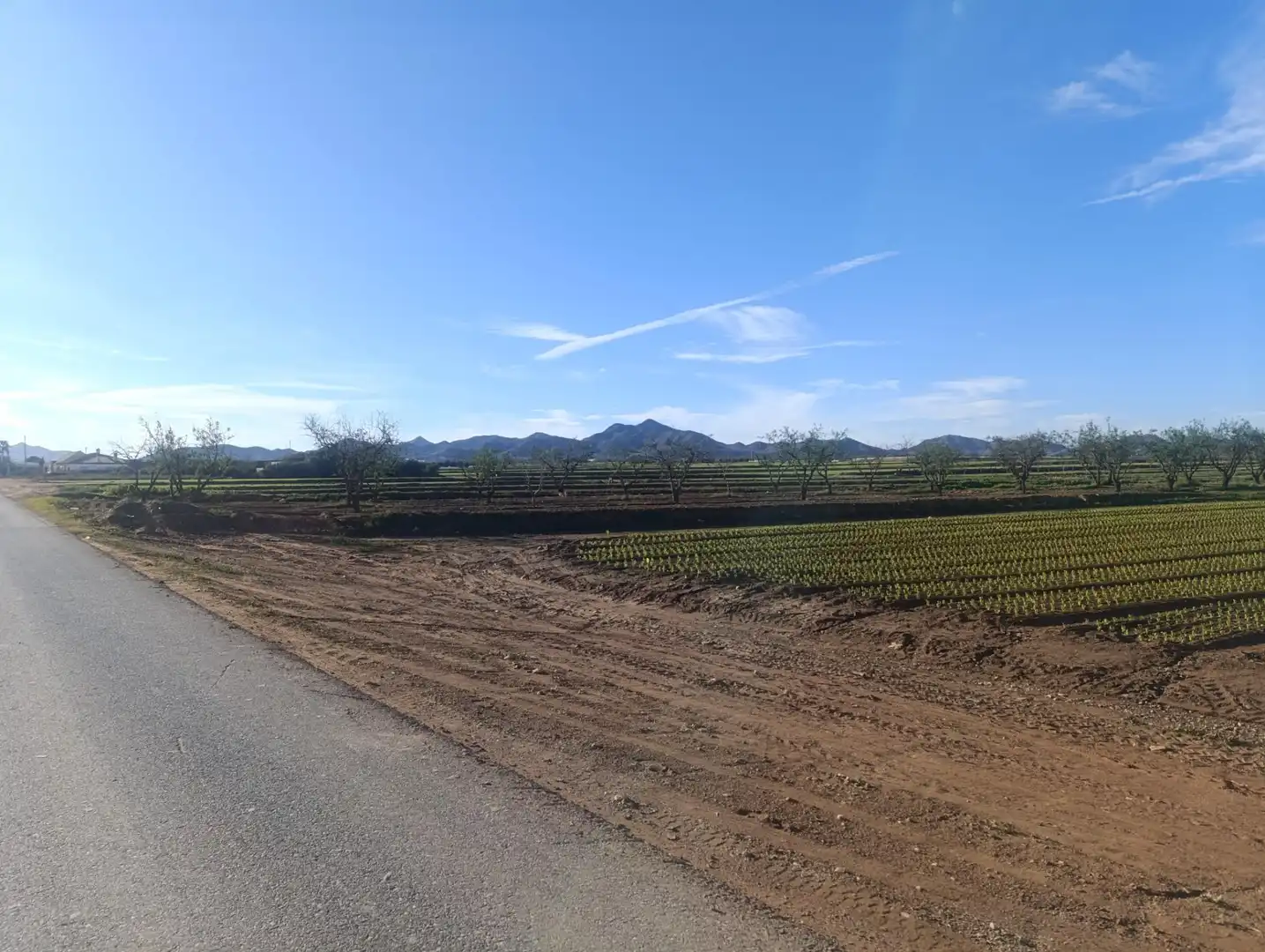 Terreno rústico en venta en Pasaje TORRE CALIN-DS ALJORRA 1, imagen 7