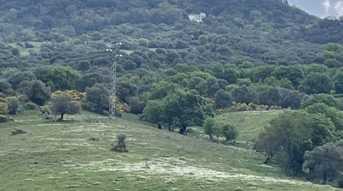Foto 5 de Residencial en venta en Cortes de la Frontera, Málaga