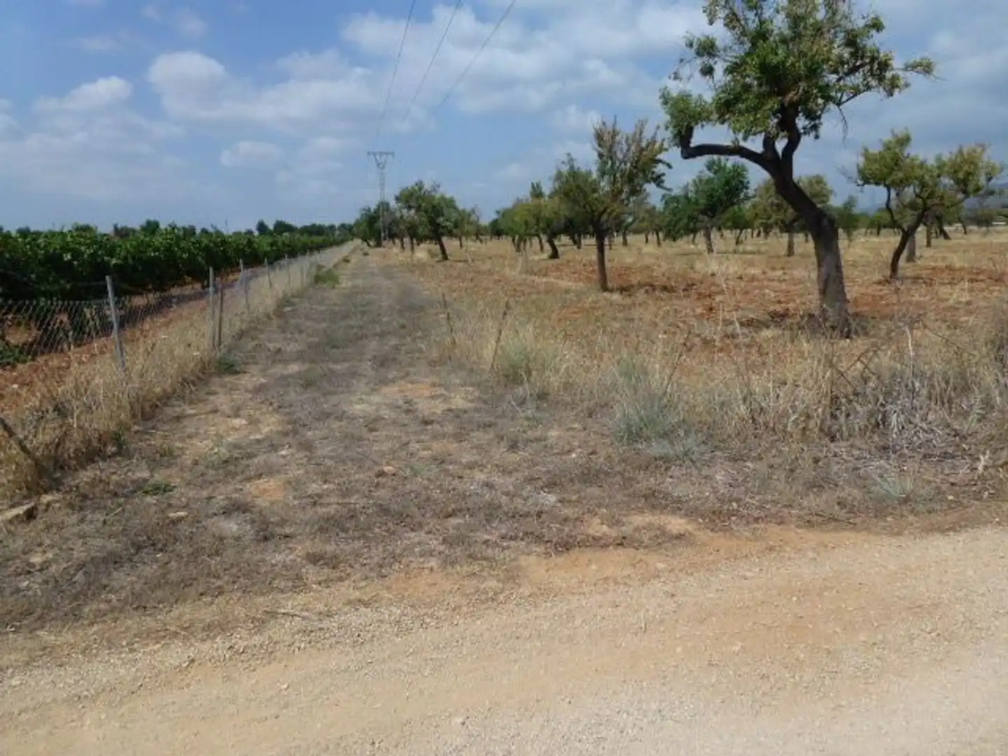 Terreno en venta en Binissalem