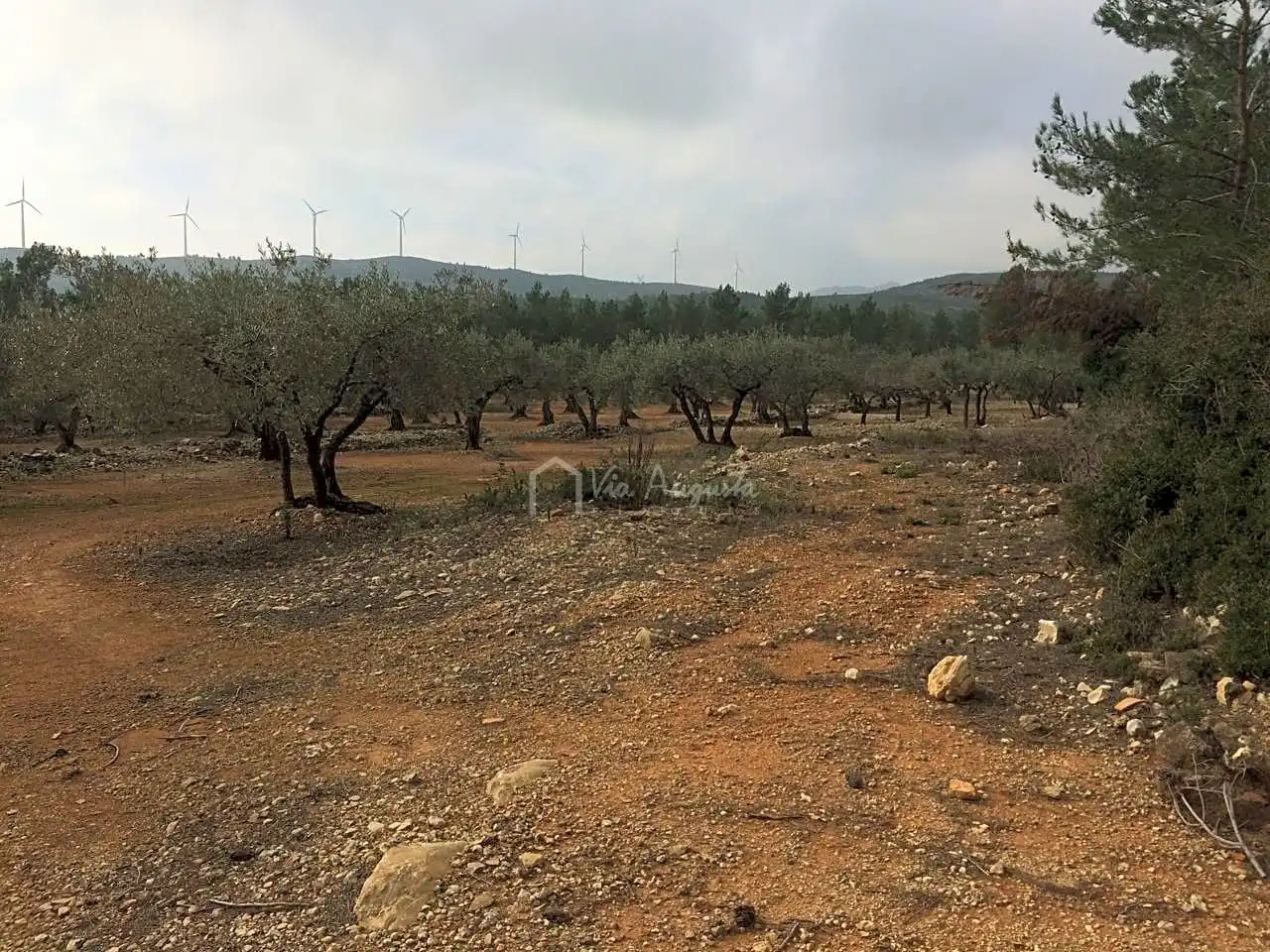Terreno rustico in vendita a Burga, imagen 12