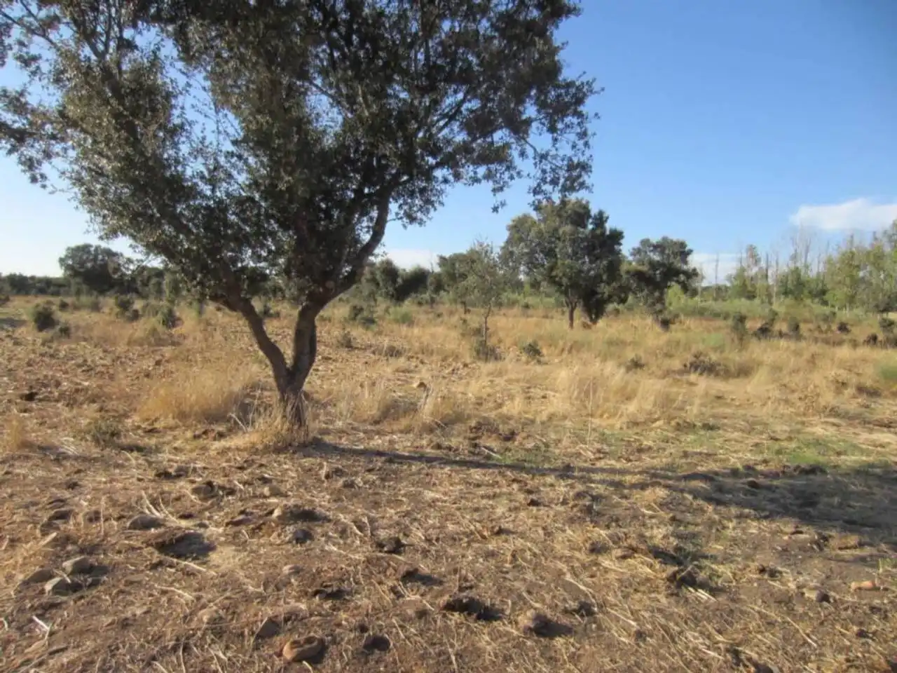 Terreno residencial en venta en Poligono 14, imagen 4