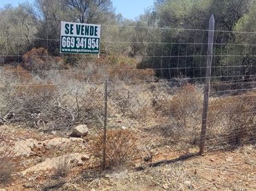 Rural land for sale in Ma-6014 Km 24