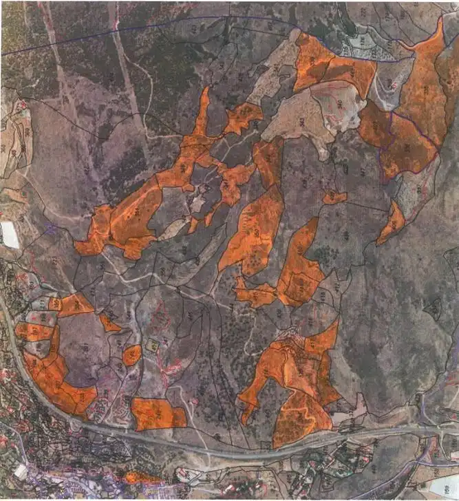 Terrain rustique à vendre à Alcolea, imagen 16