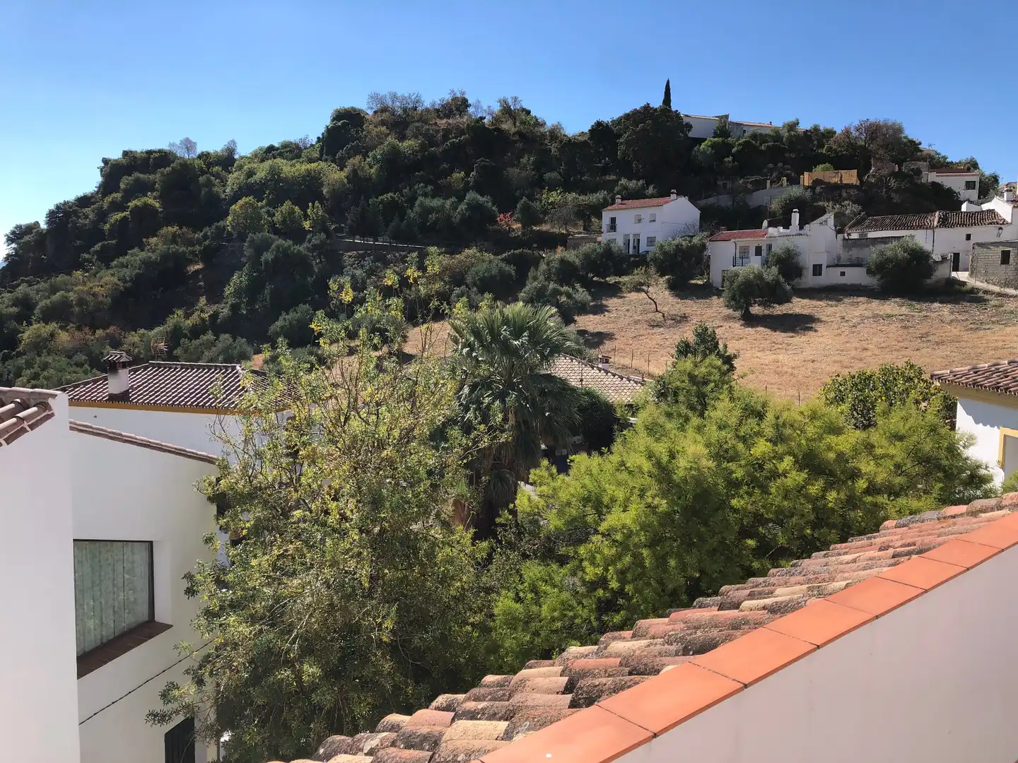 Vista exterior de Casa o xalet en venda en Atajate amb Terrassa i Moblat
