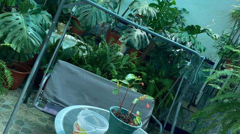 Foto 5 de Casa o xalet en venda a San Pedro, 15, Peñaflor, Sevilla