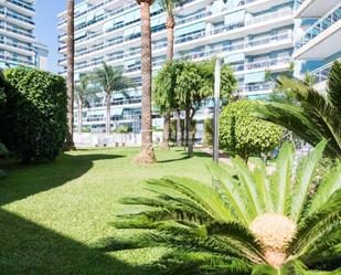 Vista exterior de Pis en venda en Gandia amb Aire condicionat, Terrassa i Piscina