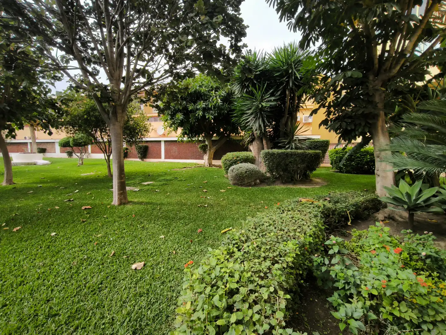 Apartament amb piscina en venda a Calle Decano José Gómez Rando 2, imagen 39