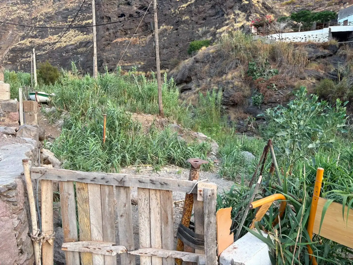 Jardín de Residencial en venta en Agaete