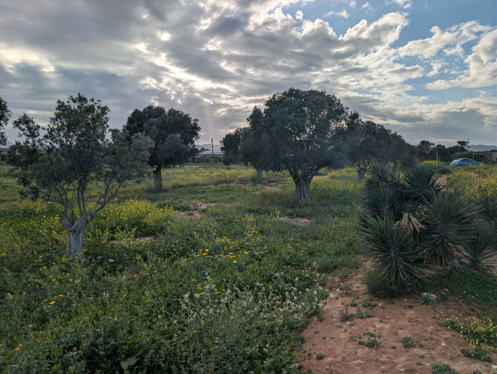 Grundstücke zum Verkauf in Cartagena