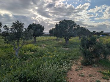 Terreno rustico in vendita a Pasaje los Barberos 8